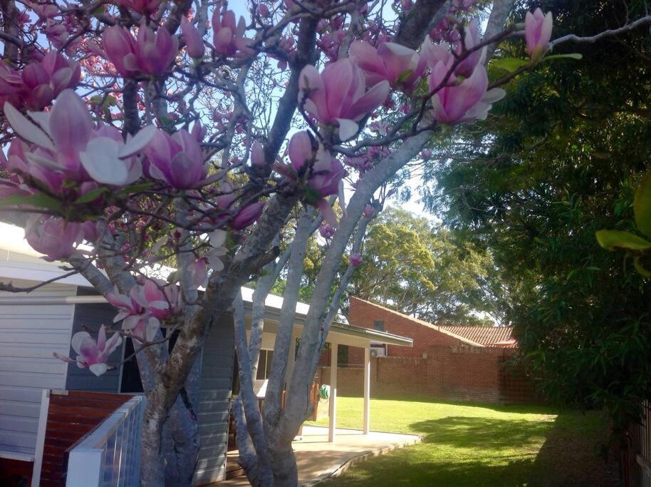 Magnolia Cottage Coffs Harbour Dış mekan fotoğraf