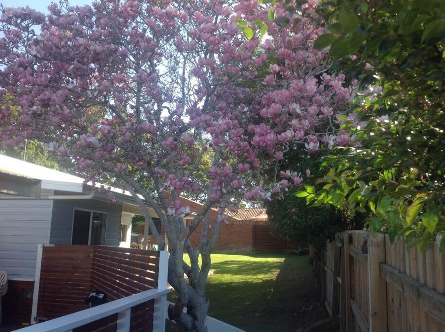 Magnolia Cottage Coffs Harbour Dış mekan fotoğraf