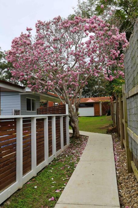 Magnolia Cottage Coffs Harbour Dış mekan fotoğraf