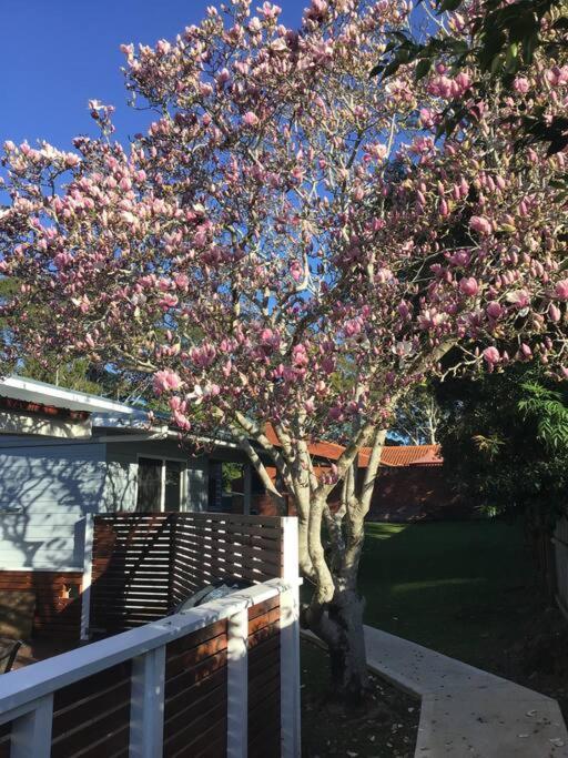 Magnolia Cottage Coffs Harbour Dış mekan fotoğraf